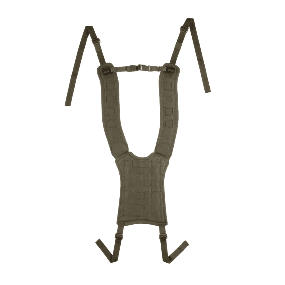 4-Point H-Harness